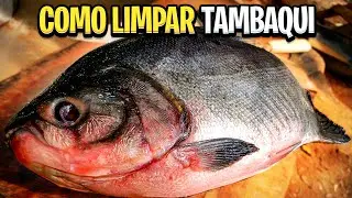 LIMPANDO TAMBAQUI