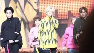 170205 skyway(bambam foucus)