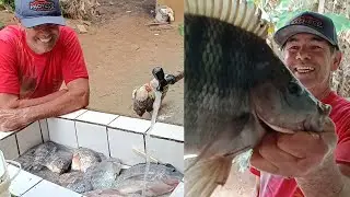 INALGUREI A MINHA TARRAFA NOVA! VEJA O RESULTADO DA PESCARIA!!