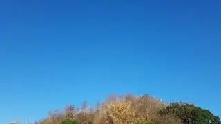Birds flying in the sky | Another mission of the day