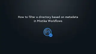 How to filter a directory based on metadata in Mistika Workflows