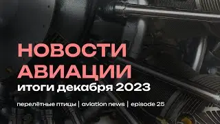 Новости авиации | Что случилось в декабре? Всё о событиях, рейсах и самолётах | Перелётные птицы