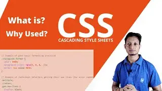 What is CSS (Cascading Style Sheet), How Does It Work ? | Why it is used in Web Design?