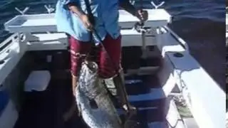 Ловля баррамунди