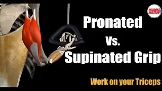 Work on your Triceps with Cable One Arm Push-down