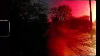 Ladybird (Official Audio)
