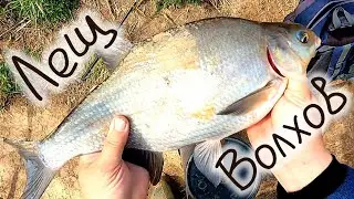 Рыбалка река Волхов , ЛЕЩ , СОПА , КАРАСЬ , Fishing river Volkhov, BREAM, SOPA, CARP