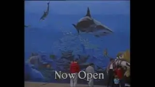 National Aquarium   TV Ad 1990