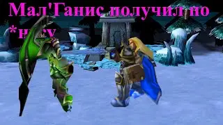 Warcraft 3: Мал'Ганис получил по *нусу, гайд за синего игрока в карте 