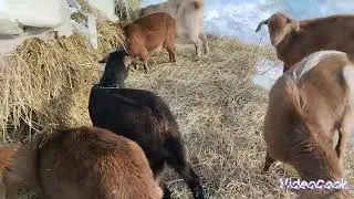 Не устану благодарить зрителей!!!!