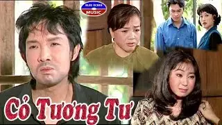 Cai Luong Co Tuong Tu