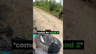 Biker Encounters Moose On Trail...