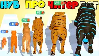 ЭВОЛЮЦИЯ ОТ МАЛЕНЬКОГО КОТЕНКА ДО ОГРОМНОГО ТИГРА Cat Evolution