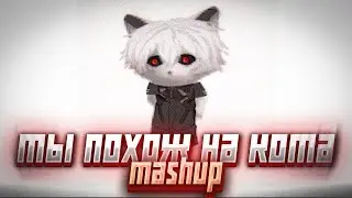 ты похож на кота phonk mashup