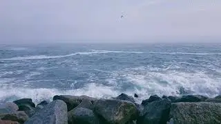 Морская Терапия Шум Моря и Волн Разбивающихся о Камни для Медитации и Релаксации от Бессонницы