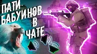 Пати бабуинов в чате (CS:GO)