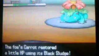 Pokemon Black/White Battle #3 Vs.PokeMai11 (T-flare)