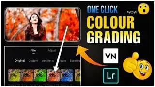 How to Use Lightroom Preset in VN App|Colour Grading In One Click|Convert Lightroom Preset to Lut