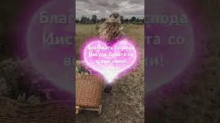Жив Господь🔥 #любовь #спасение #бог #вера #иисусхристос #истина #жизнь #shorts