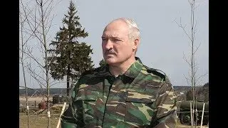 Лукашенко называет Зеленского Володей