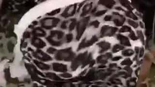 معلايه ٢٠١٩