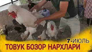 ТОВУК БОЗОР НАРХЛАРИ ХОРАЗМ БОГОТ