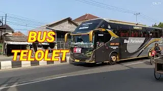Bus Telolet