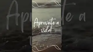 Aproveite a vida - mensagem