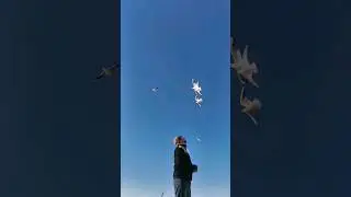 Кормлю чаек на пляже Кудепсты 🕊️ Больше моих роликов про солнечный курорт ищите 👉 