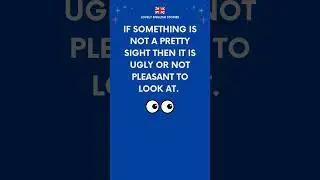 BRITISH ENGLISH IDIOM | What does 'not a pretty sight' mean? 