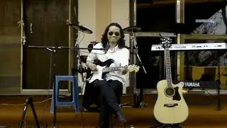 How to Play Fast Country Guitar, Volume Swell & Whammy Bar !