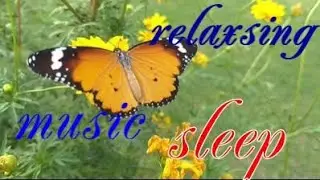 relaxing music sleep. музыка для релакса и отдыха антистрес
