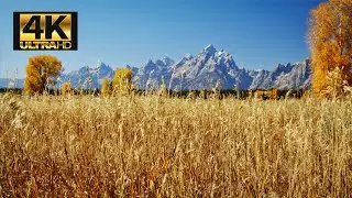Fun Music | Epic View 🍂