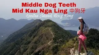 MIDDLE DOG TEETH / MID KAU NGA LING/ 中狗牙
