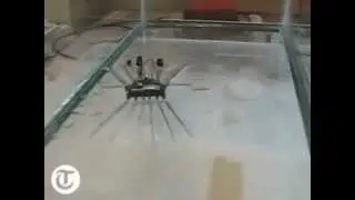 Робот-водомерка пошел по воде!
