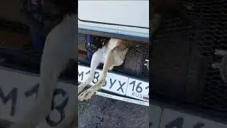 28 июня 2024 г.