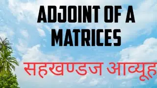 Adjoint of Matrices