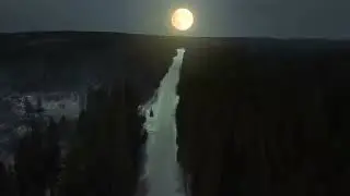 Луна, дорога, лес. Футаж без звука