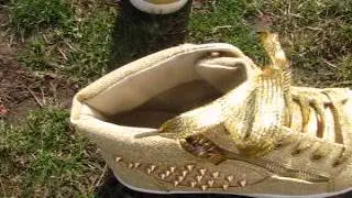 Стильные женские сникерсы