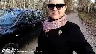 Поздеевская березовая аллея.
