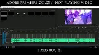 Adobe premiere 2019 not playing video  FIX BUG