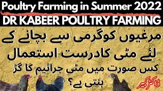 Backyard Chickens Management in Summer | Poultry Farming in Summer | Dr Kabeer
