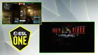 APEX 200IQ MOLLY