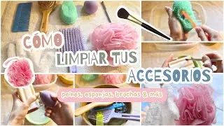 CÓMO LIMPIAR tus ACCESORIOS de BELLEZA (peines, cepillos, esponjas & más) ✨🪞🎀🧼