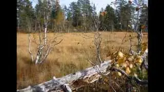 Rundt Langvannet 3 Okt 2015.