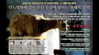 [무료 영화] 네가지 삶... 자연과 생명의 아름다운 순환...  힐링영화 네 번