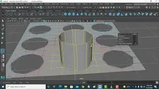 Maya 2020 in English | Loft and planner etc