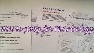 How to study for MICROBIOLOGY + Tips
