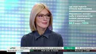 В то самое время 14 декабря 2018 года, когда Илья Шестаков вводил в заблуждение Владимира Путина