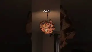 Paper cups to hanging rose light🤍🌹🫶🏻 